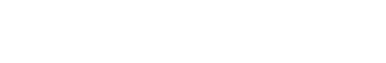 Noventic Logo